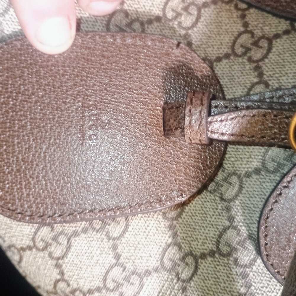 Gucci Brown Monogram Canvas Bag